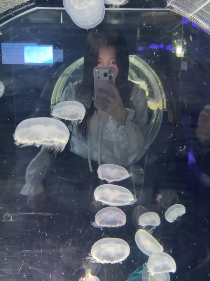 中島真白